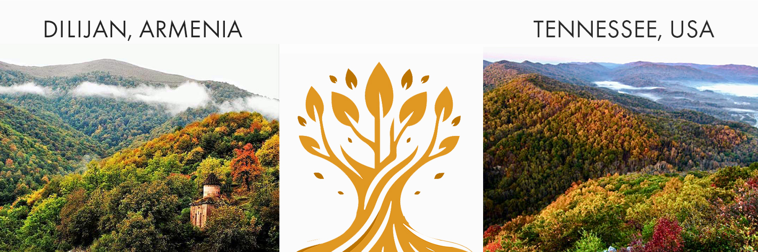 Hyeland Project 🇦🇲-🇺🇸 banner