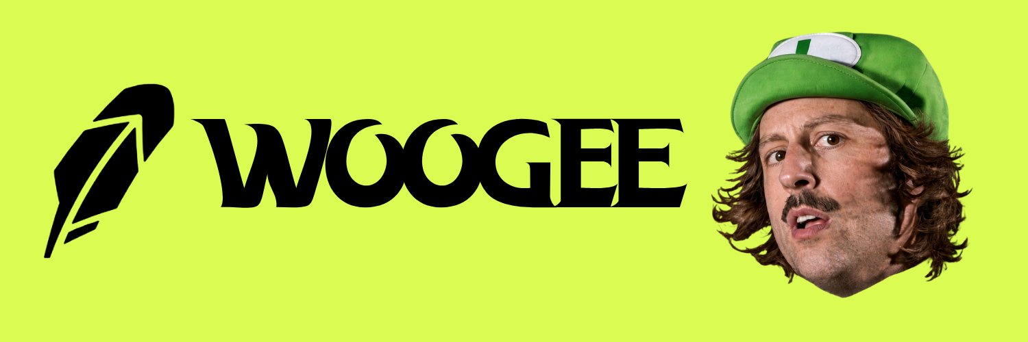 hoodwoogee's profile banner image