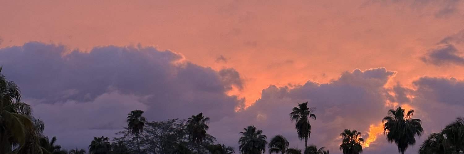 lizzyperez2's profile banner image