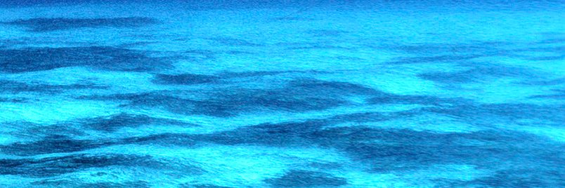 Christine B.Osborne banner