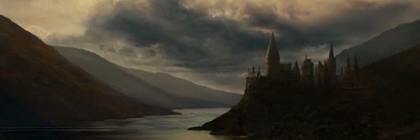 stupewise Profile Banner