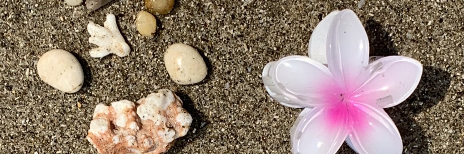 ana's alter ego banner