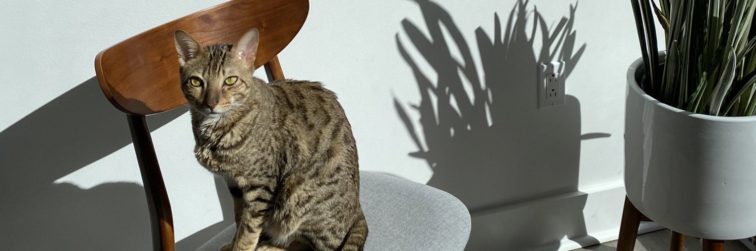 leluhrs's profile banner image