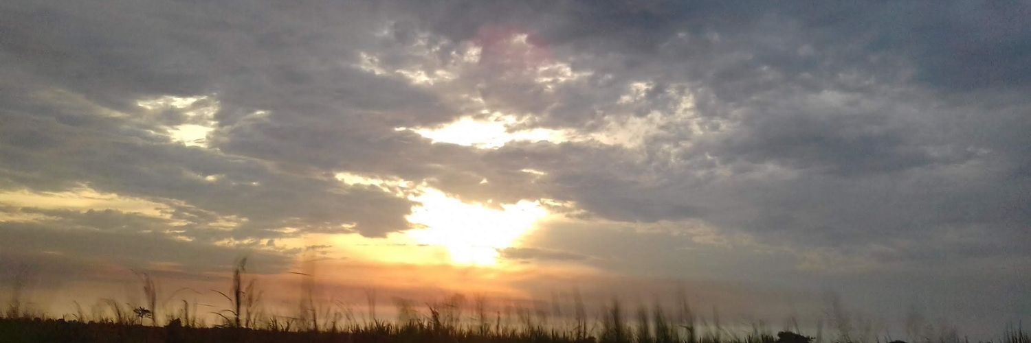 Emy_bs_'s profile banner image