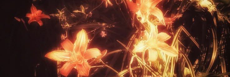 ltawinan's profile banner image