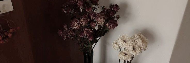 ichunghav's profile banner image