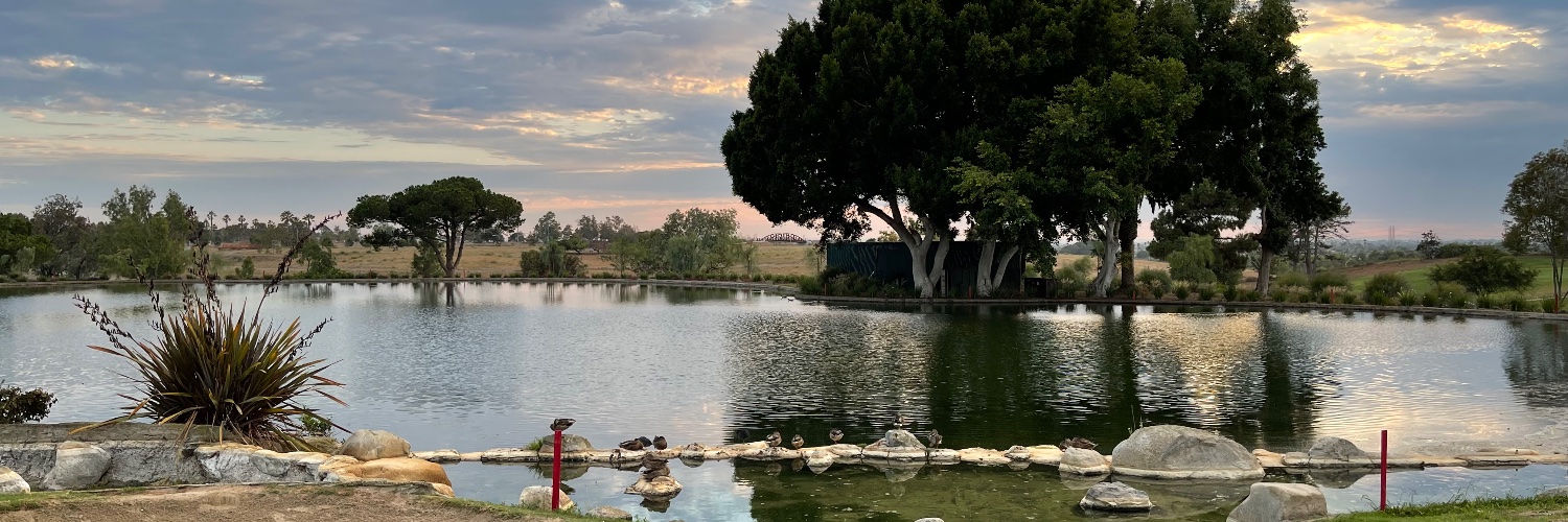 Forrest Kelly banner