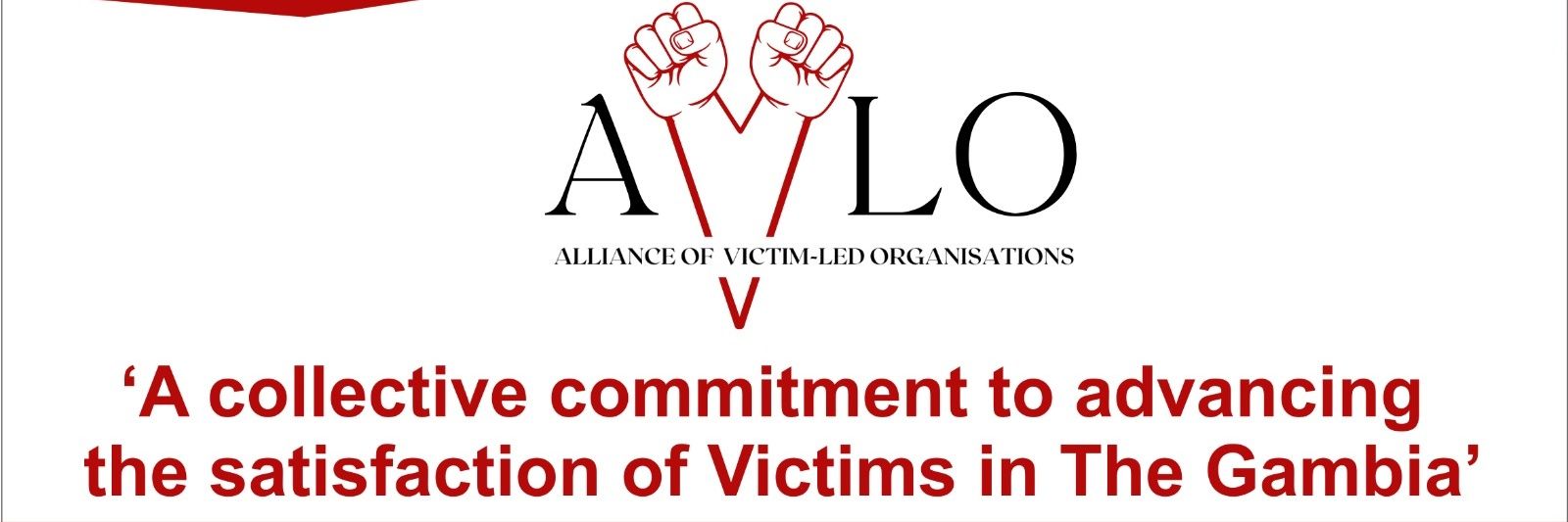 Alliance of Victim-Led Organisations banner