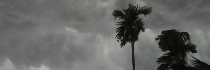 𝕮𝖑𝖎𝖛𝖊 🦈's banner