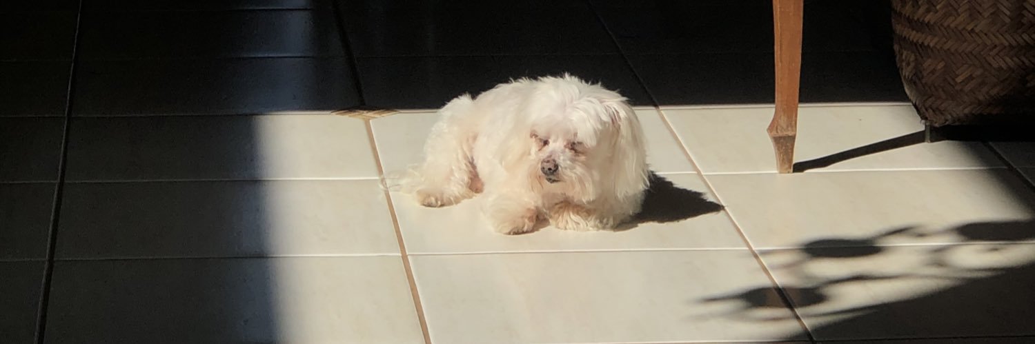 luisapallma's profile banner image