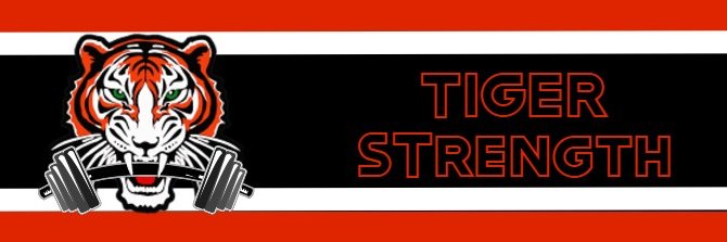 ROStrength banner