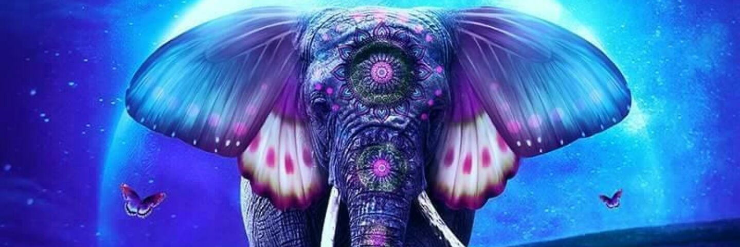 maevamcfly's profile banner image