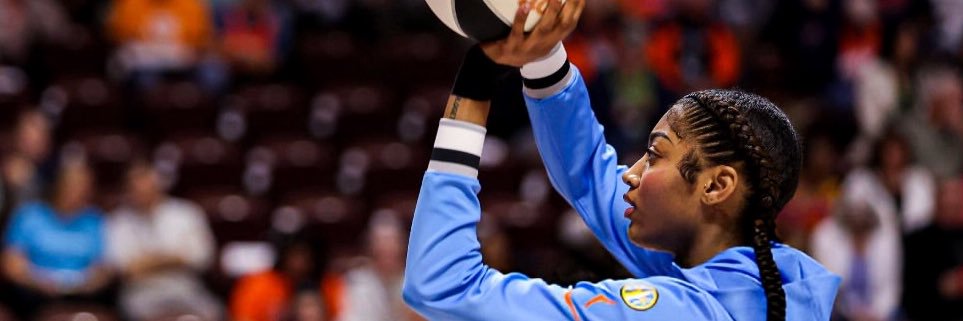 SHOW THEM (WNBA) THE MONEY's banner
