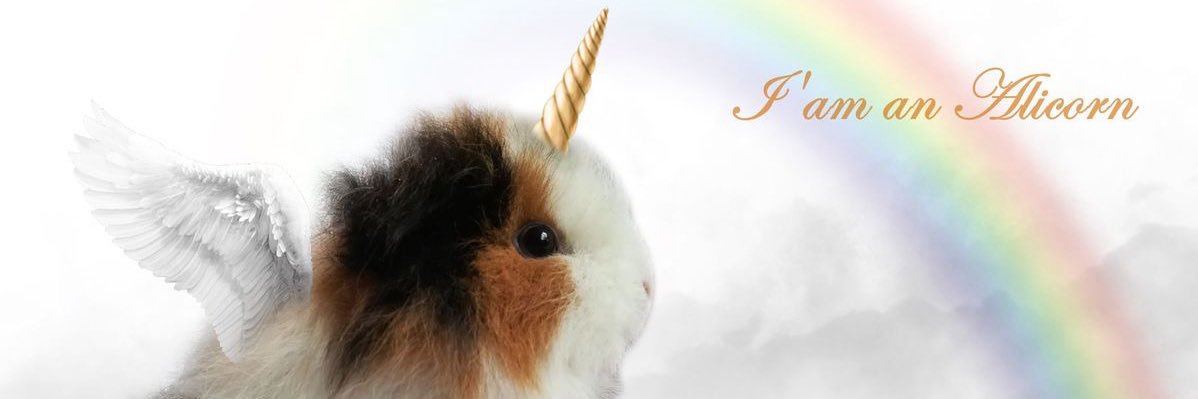 Keiko banner
