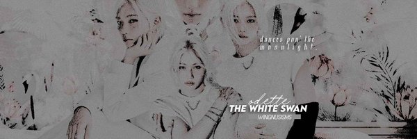 WINGNUSISMS Profile Banner