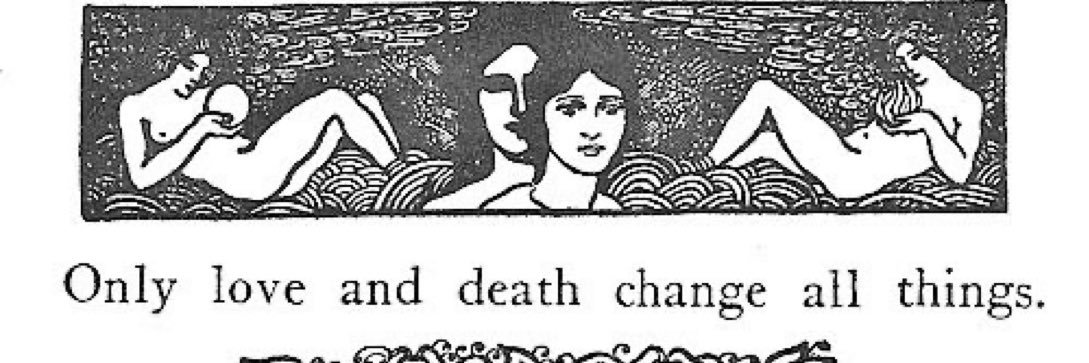 ₊‧.°.⋆✮⋆.°.‧₊ banner