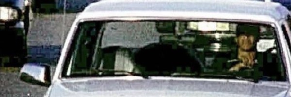 smithjamal100 Profile Banner