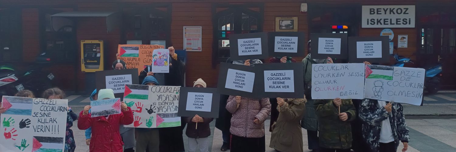 Merve Safa banner