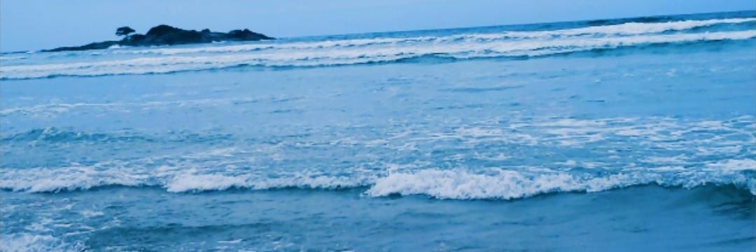 jujmello's profile banner image