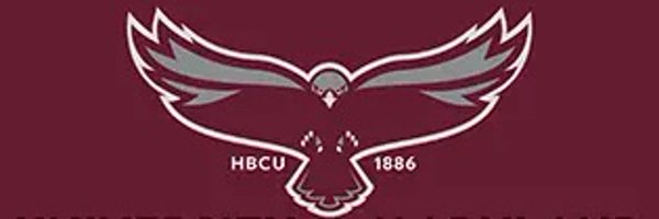 FlyHawks_Coach Profile Banner