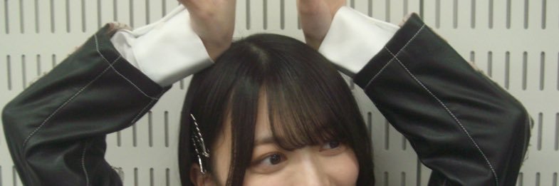 ヒ　ト　カ　ゲ banner