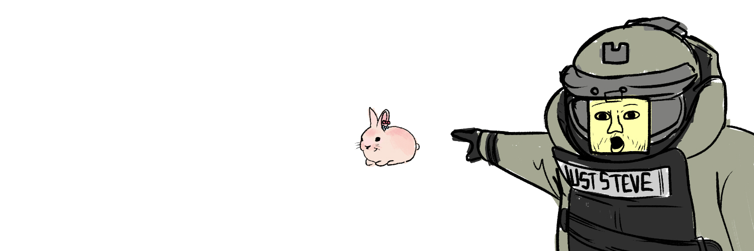 Just Steve🔌🐰 🛌🌟's banner