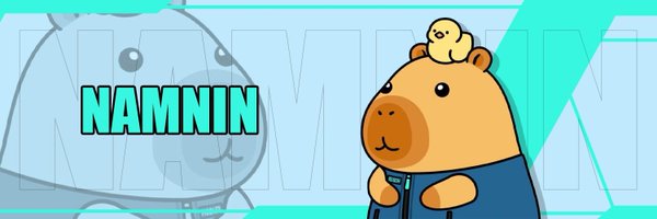 namnin_kr Profile Banner