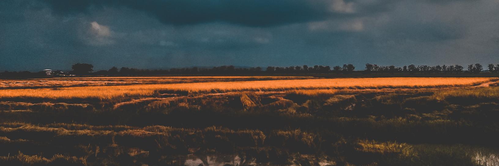 MellRuiz15's profile banner image