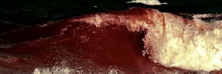 ⋆ ࣪ ⚢ ᡣ𐭩αɳυ ࿔ banner