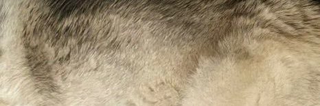 Miko32416's profile banner image