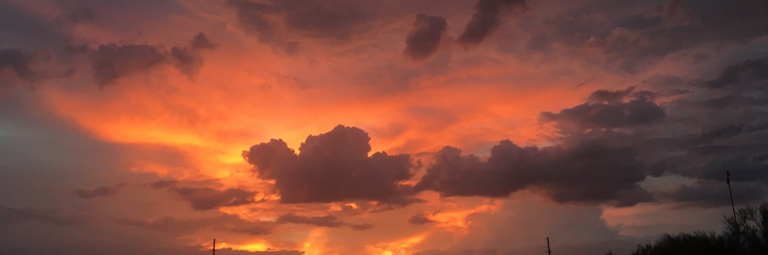 indigoiis's profile banner image