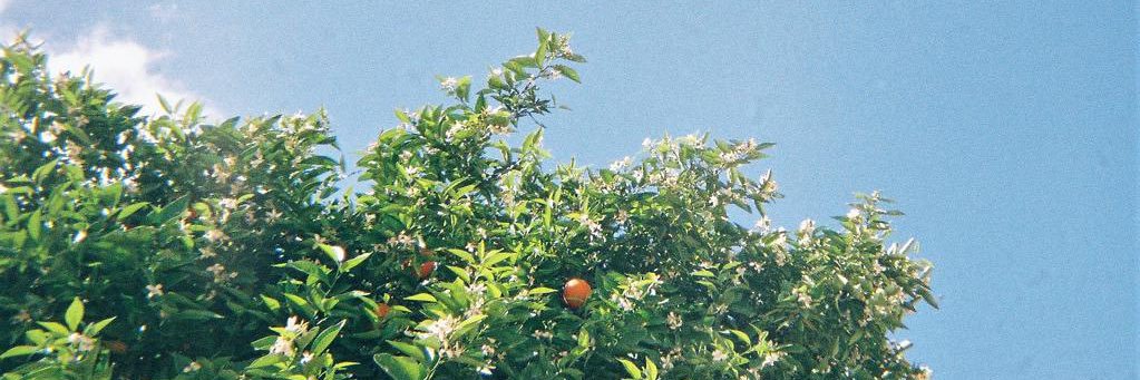maaaaaarien's profile banner image