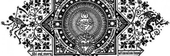 Lola 🍬🧅🫀🕰️🪲 banner