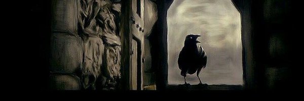 Raven_ML1 Profile Banner