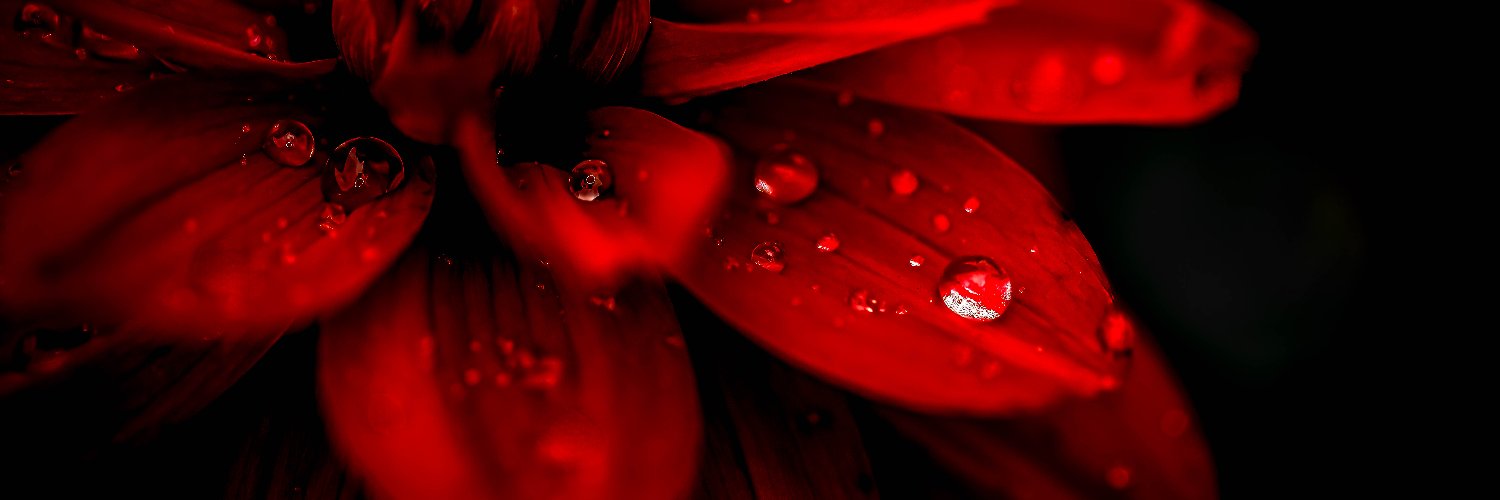 shamus419's profile banner image