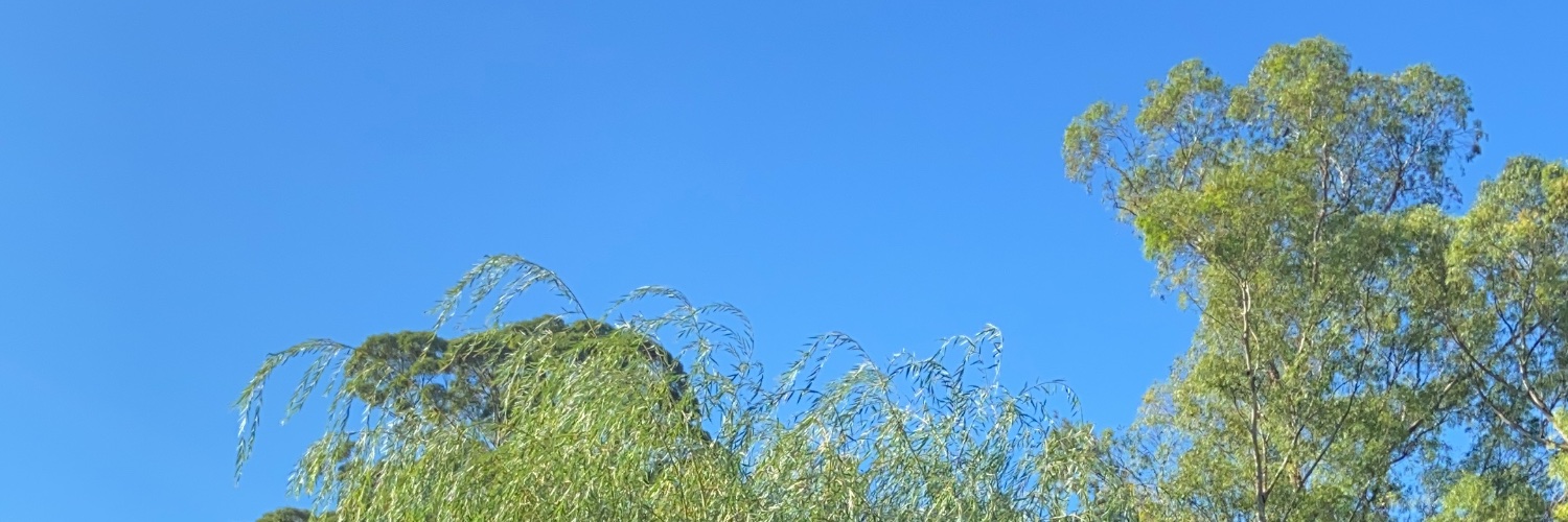 MartinSantosB's profile banner image