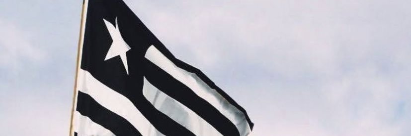 dinizbiia's profile banner image