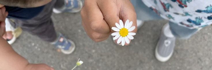 سمانه مولایی banner