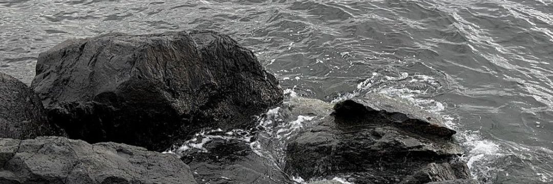 orgboobies's profile banner image