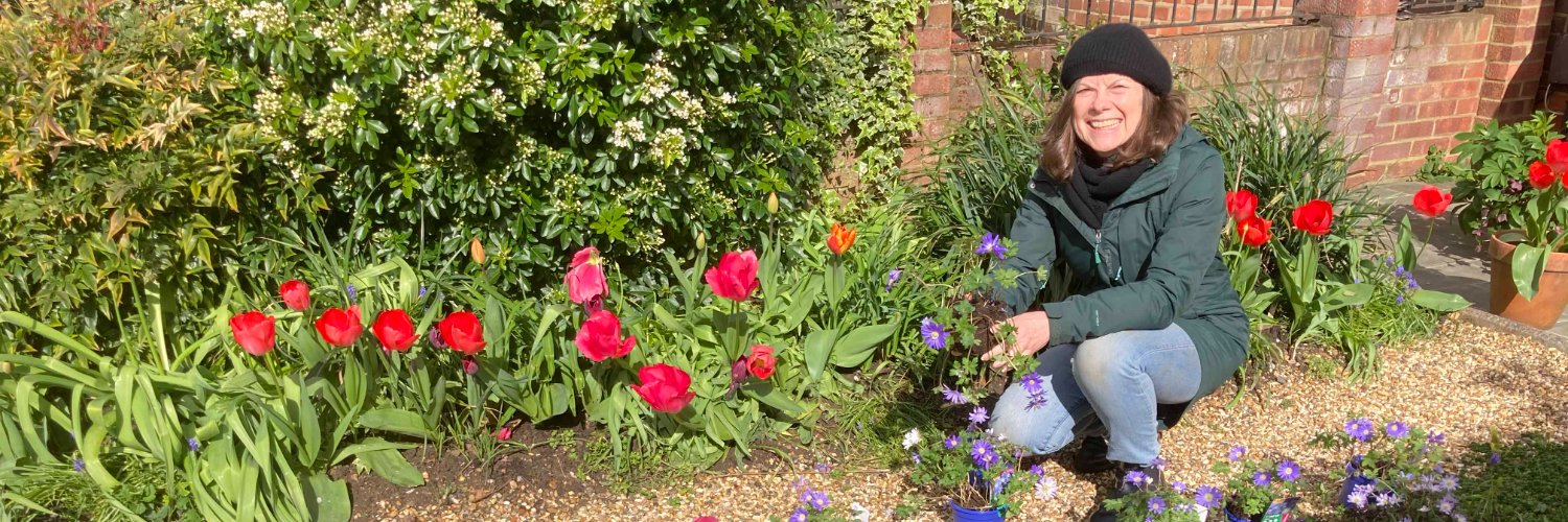 Juliet McDonald banner