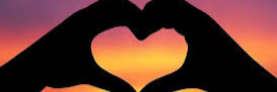 Paula Person banner
