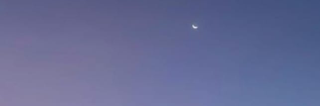 yum 🐻‍❄️ banner