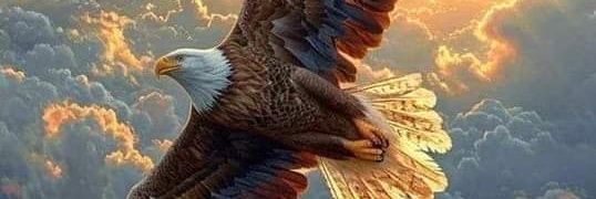 🌲🇱🇧🦋Farida🦋🇱🇧🌲 banner