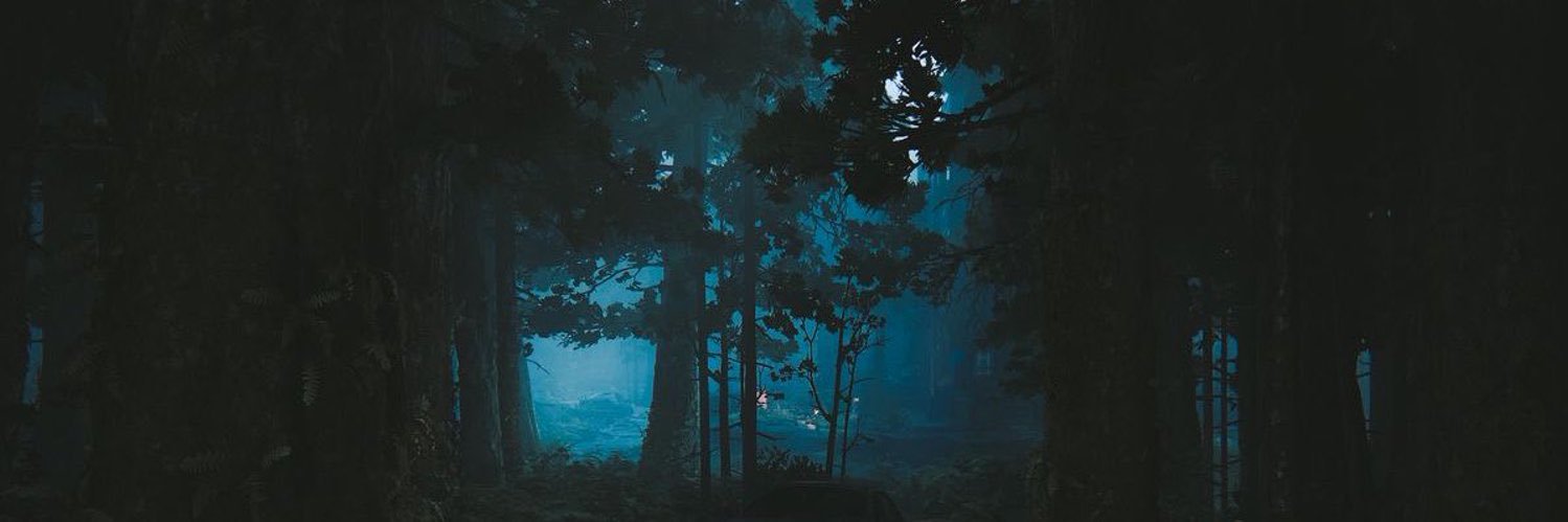 lucy🌿˙⋆✮'s banner