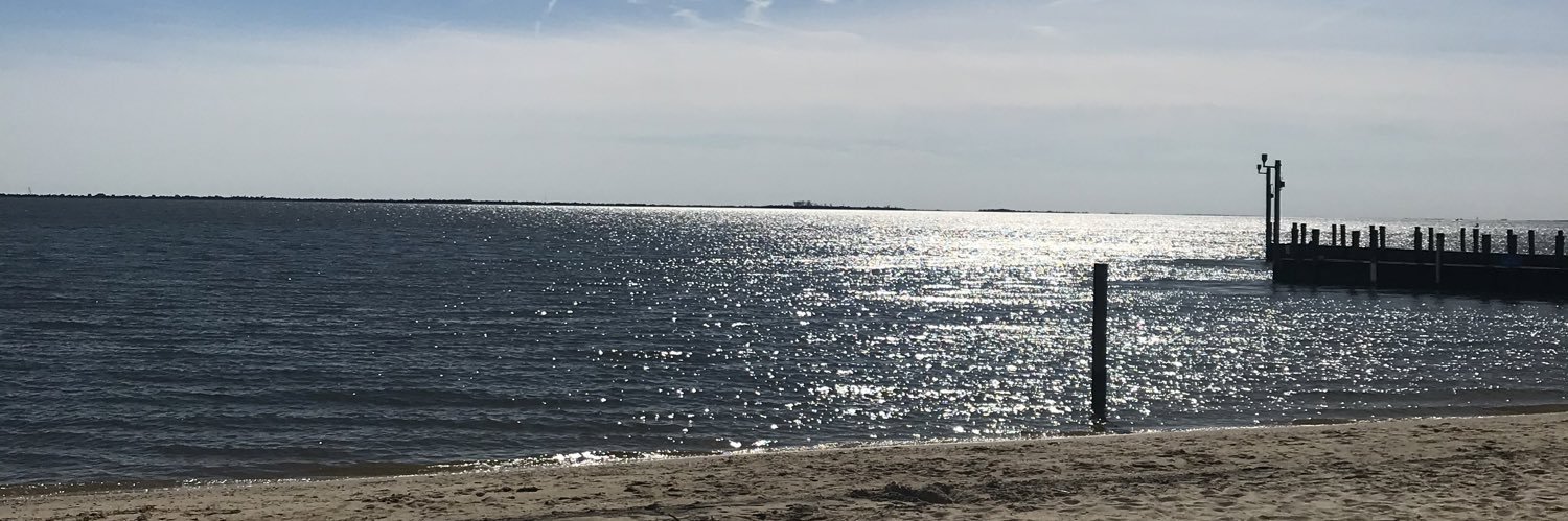 LauraVomvos's profile banner image