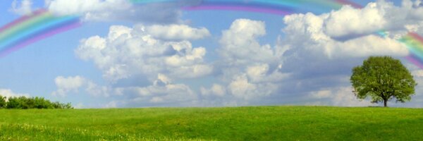 halloklima Profile Banner