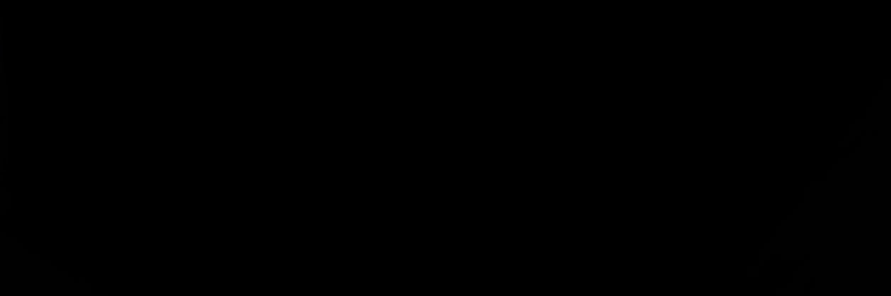 R4n1 banner