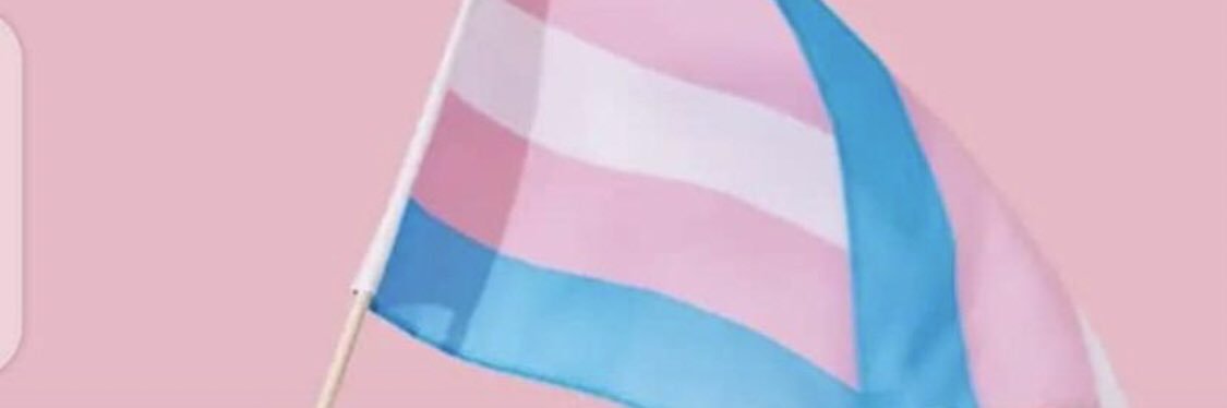 Ts Jenny banner
