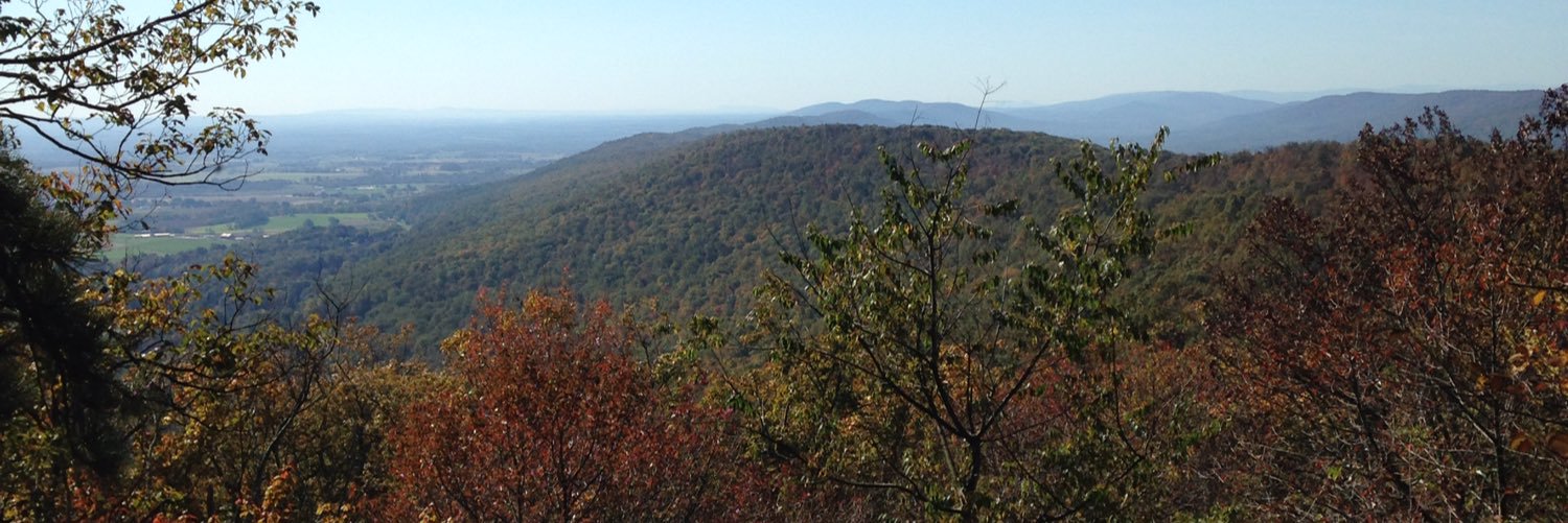 cayocum's profile banner image