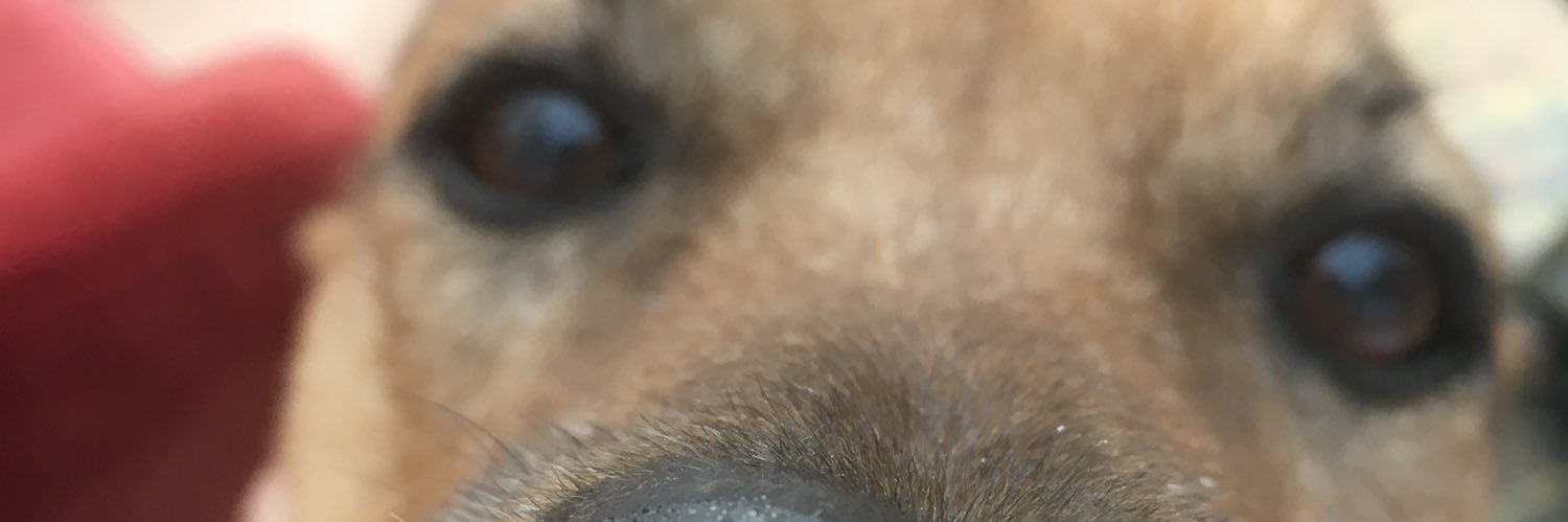 Mac Frazier, Boredom Disruptor banner